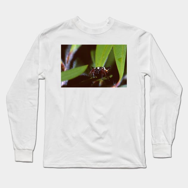 6 Horned Spider Long Sleeve T-Shirt by GP1746